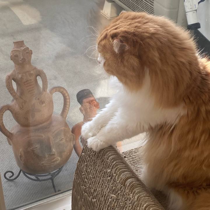 A3c644d2 4c44 4971 870b 6ecbc401f755 1674269195217