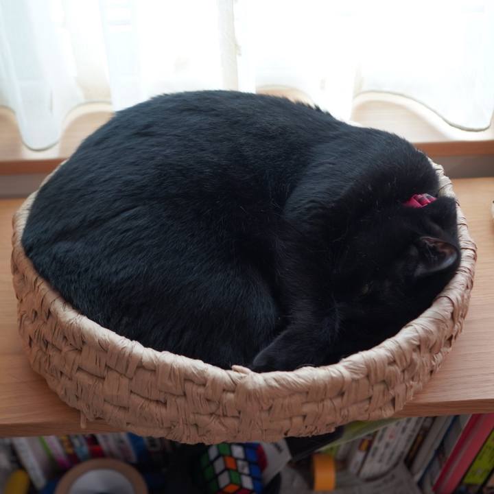 A3c6694d 6de6 4930 9ed2 5293eda4a387 1590450643221