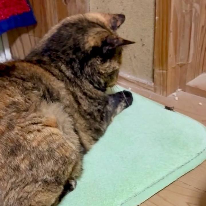 A3c7035c 20c4 4537 aa07 6a7b2bb0e03b 1759178039011