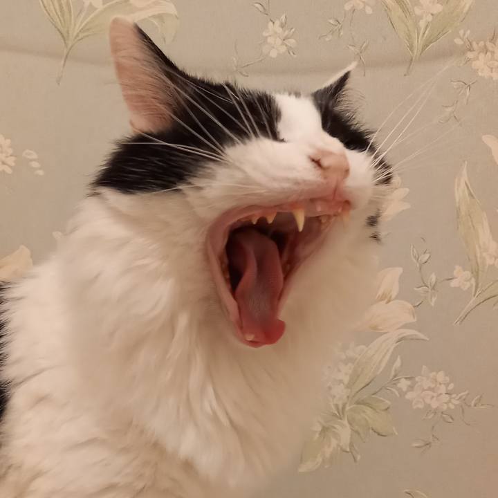 A3c76e87 43d2 46ea 97c2 669031a90c54 1625564890104