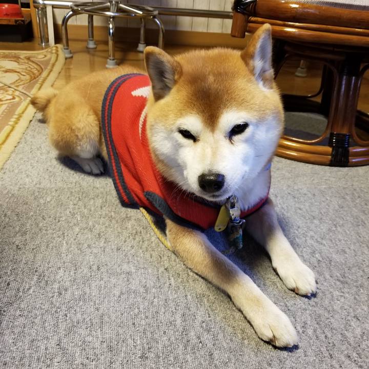 A3c7768f 4a1a 4d4e 99aa e377113f33be 1583135512172