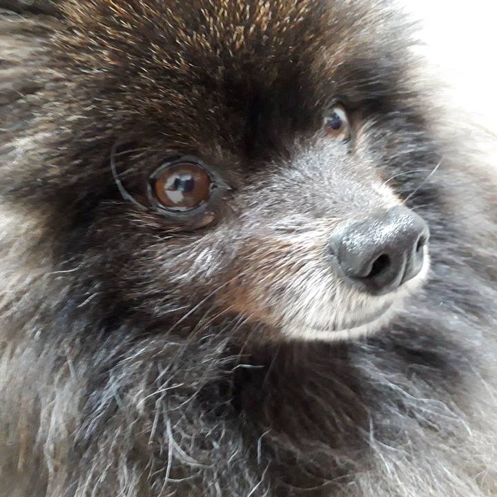 A3c78d11 29f5 43f0 ae09 687338cd23bf 1516918969954