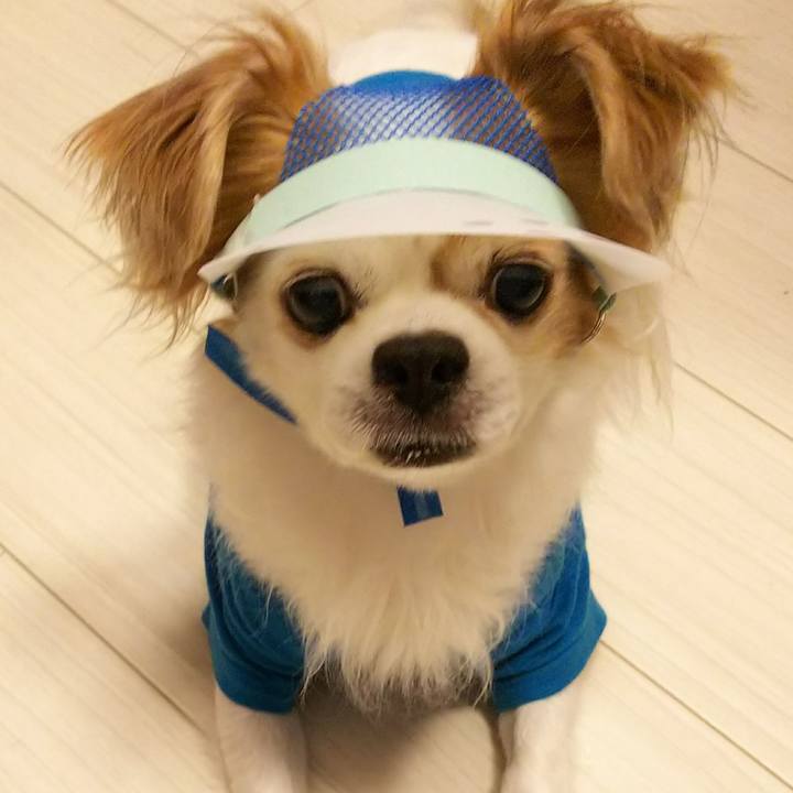 A3c7ac72 ef08 40fd 9034 aae3ec80d0d0 1531916178655