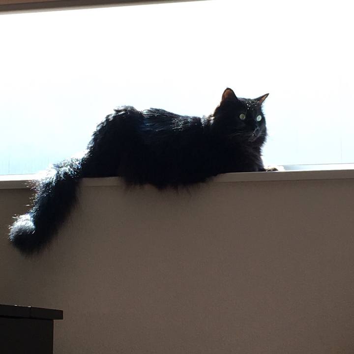 A3c7ce54 5fa6 4d1d b65d 9794fd7dc395 1560919668967