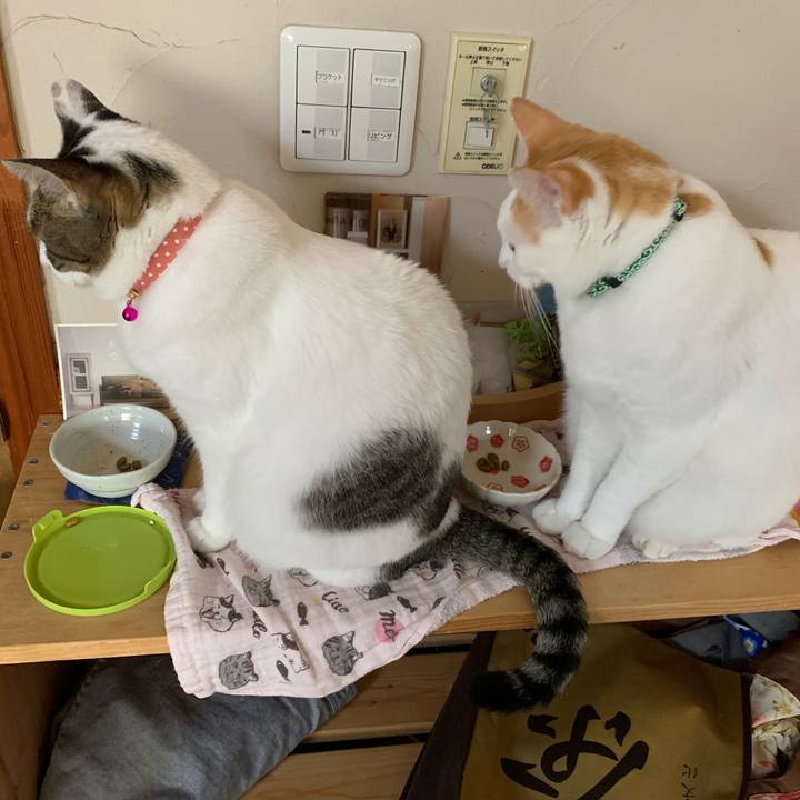 A3c7ec1b af0a 40d8 bc62 5167daef1224 1569215493846