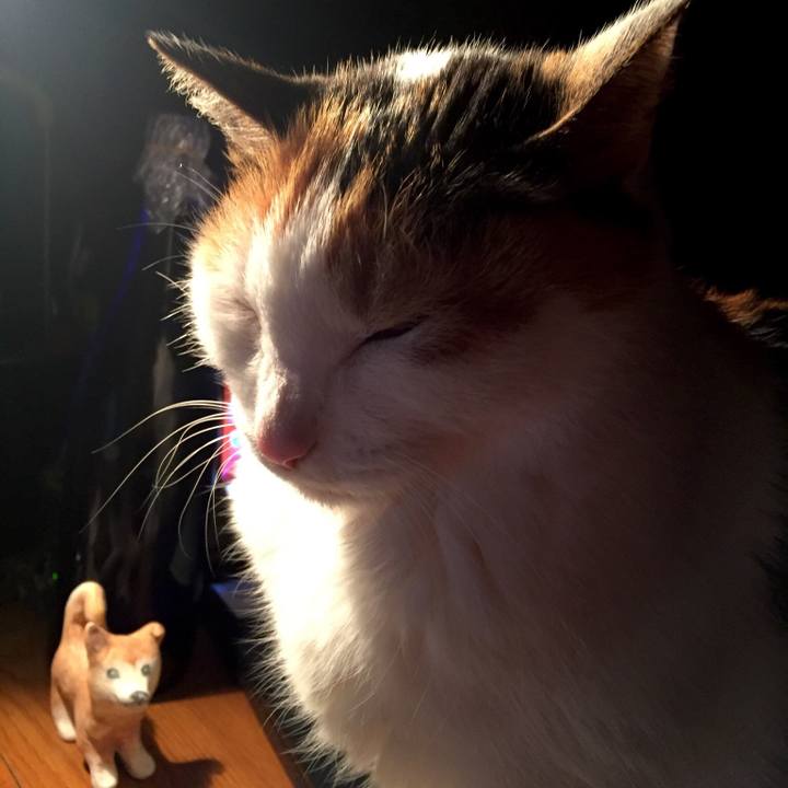 A3c80615 98d1 463a 8552 07ef888d2264 1519550534191