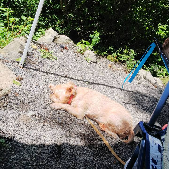 A3c80f34 a34f 4b6a baab b36fb573d615 1535159574654