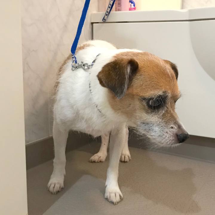 A3c82359 d122 4734 ad3d 1c98eeba6d61 1568859423756