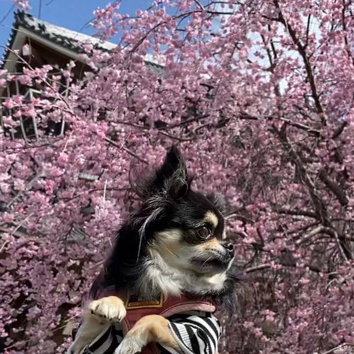 A3c829cd 2d2a 4dcd bc08 59f0a1a7bb48 1648354507756