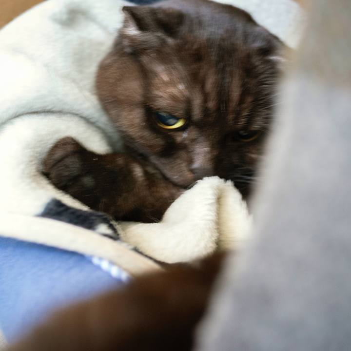 A3c845d0 b8b4 4264 91c7 ff2304de3d2d 1645766702001