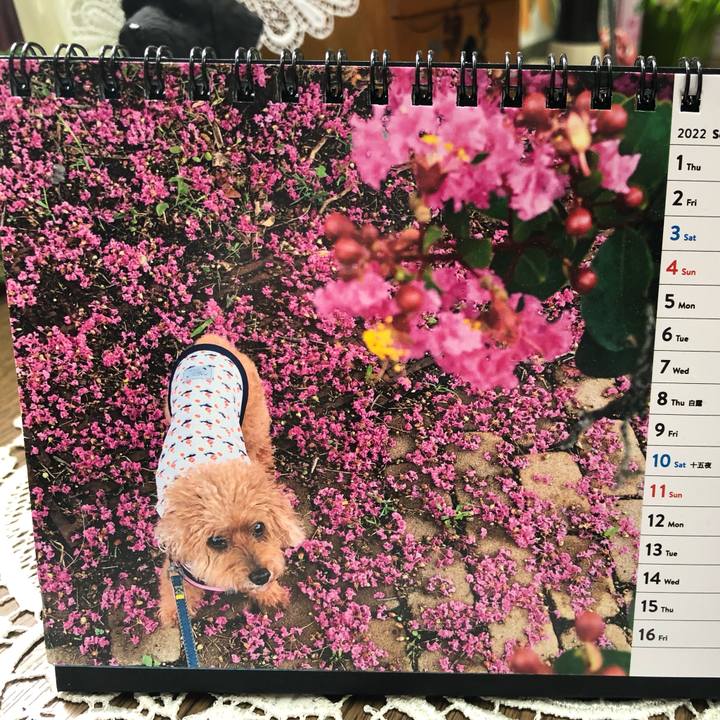 A3c84798 3de2 4cd2 9c21 30e971567ea7 1663976642256