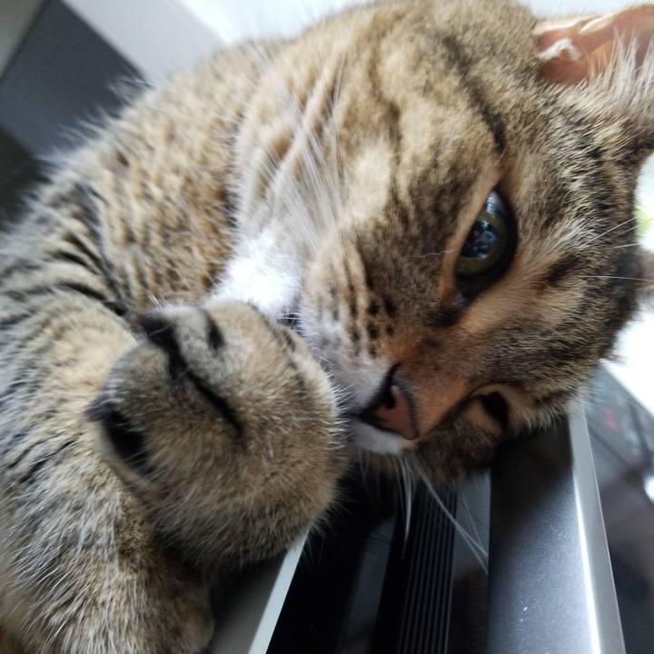 A3c84f89 eeeb 4846 9398 4befae6b8e96 1571446056263