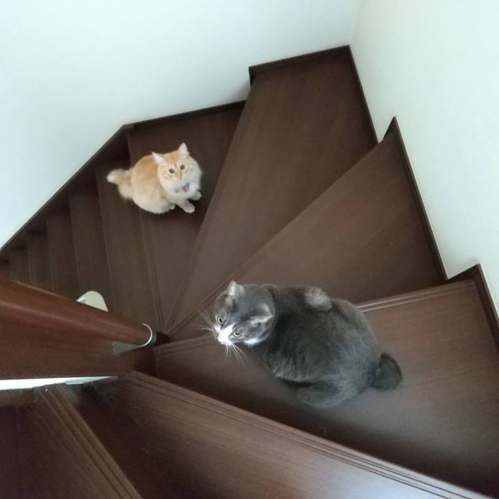 A3c8638e cff3 49cc b5c8 2d273b142a90 1631157662672