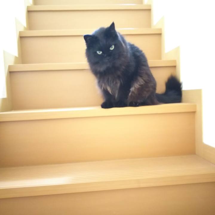 A3c8661c 7c82 42ae 8046 85e8a834811c 1558056179965