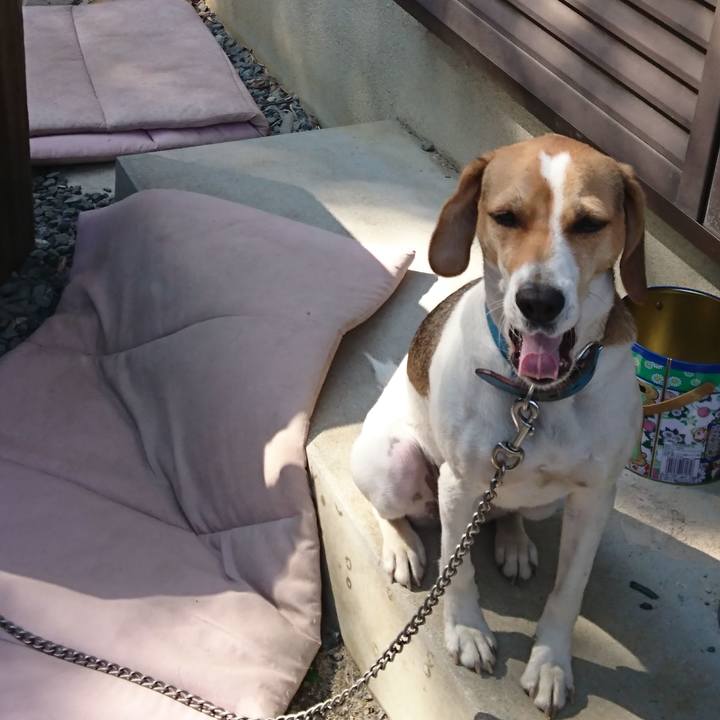 A3c86a7b b241 4b3e 99d8 e8c7a0e0f06b 1572588358971