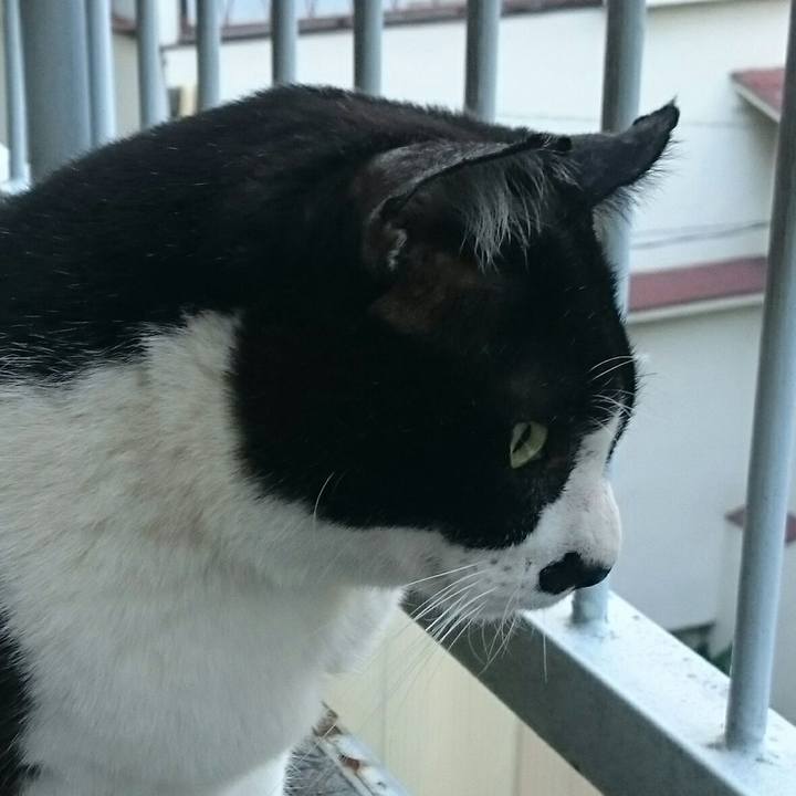 A3c87b90 0594 43d2 9461 132668f169bb 1510469700729