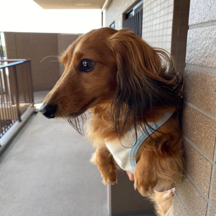 A3c8b3d2 6808 422a 8bd4 810808a61886 1656287459592