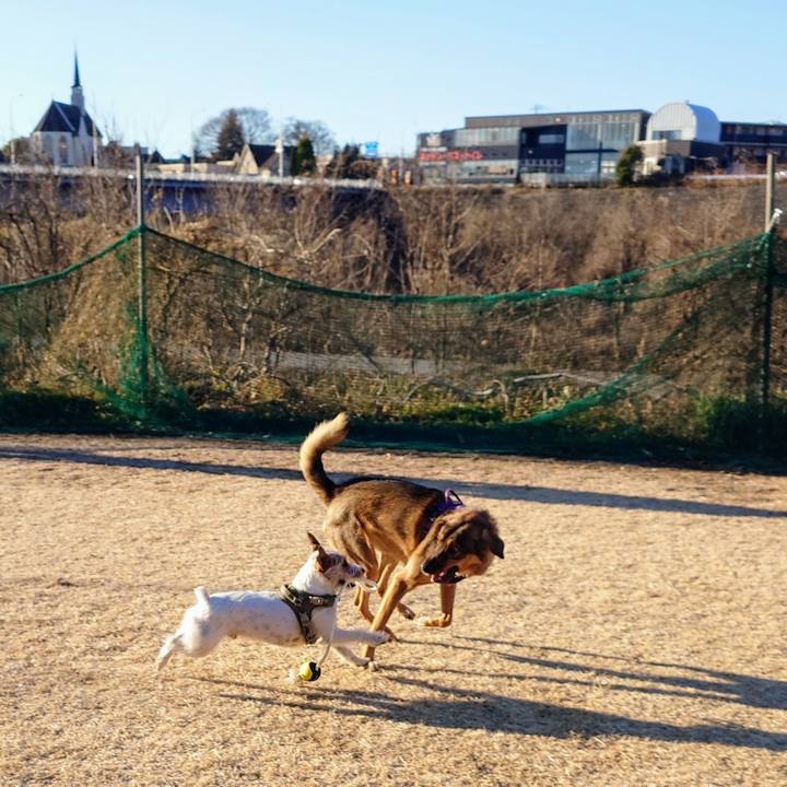 A3c8daec cac8 43a4 8062 8ee133661b43 1737164017541