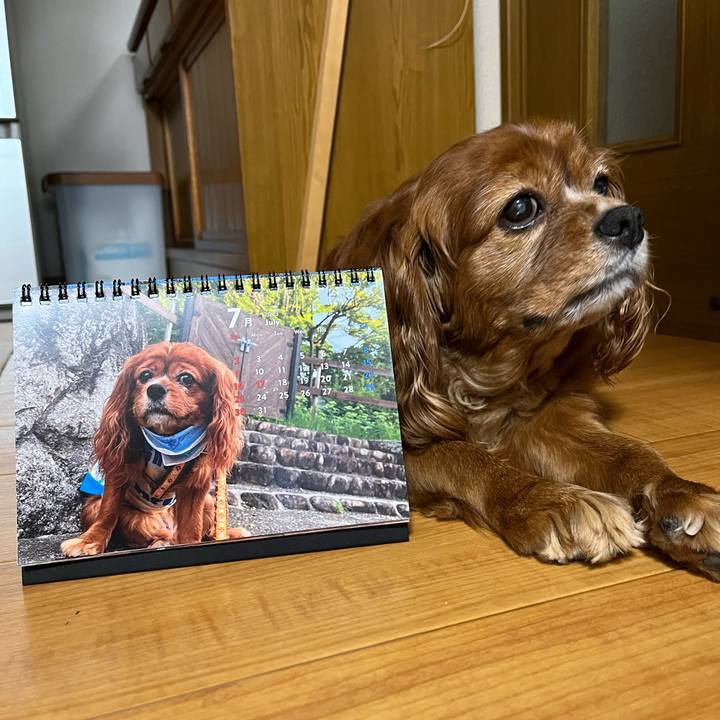 A3c8ee8c 89df 4f7a 827d 9fb121e1f2ea 1688163259325