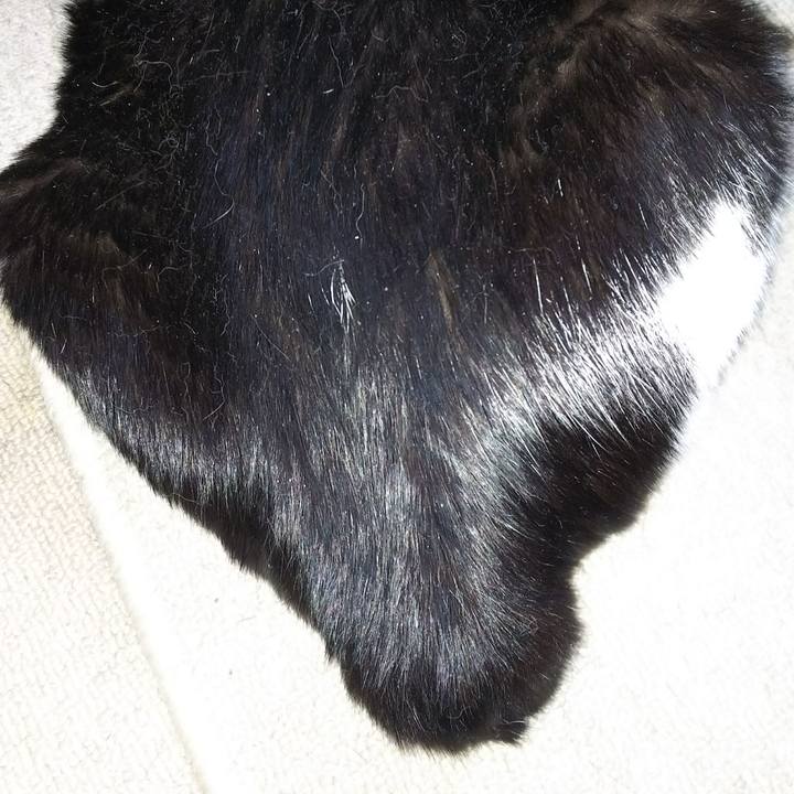 A3c8f0e5 fe1b 46bd b31a 3eac4e23aac9 1534110679643