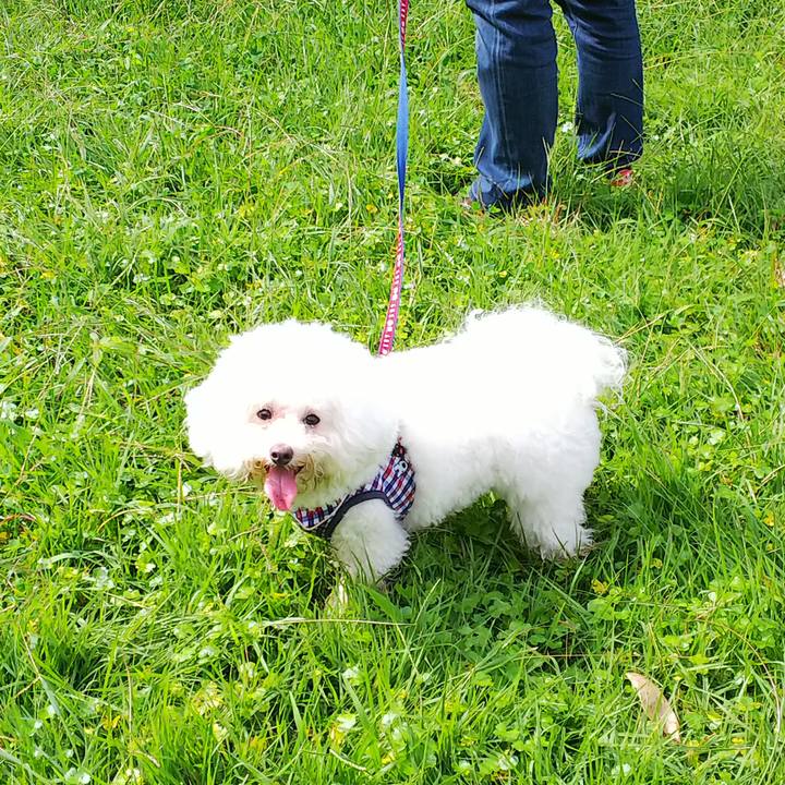 A3c8f83c 199e 4576 8e37 475ba6f81874 1537666659503