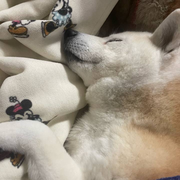 A3c915ff b5c8 41b6 a91c d270c15bb044 1705703819926