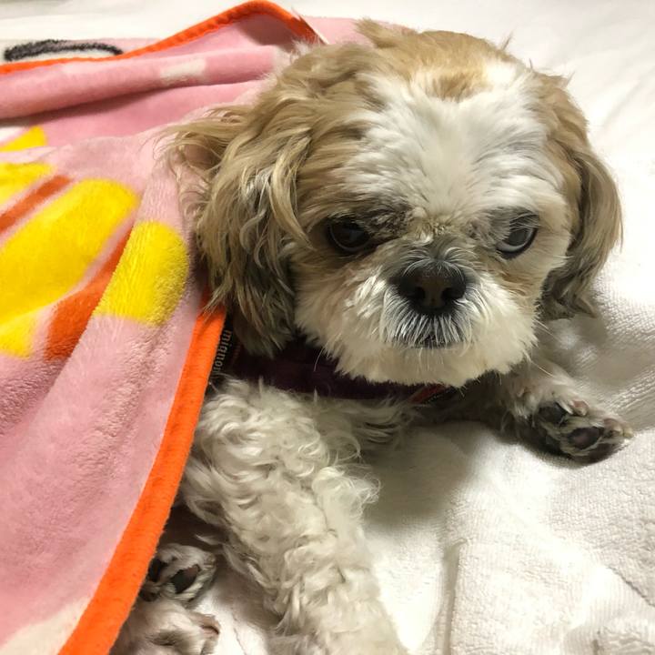 A3c9376b 1ea8 44f7 8d2e 85e2e4fedd5f 1586554934689