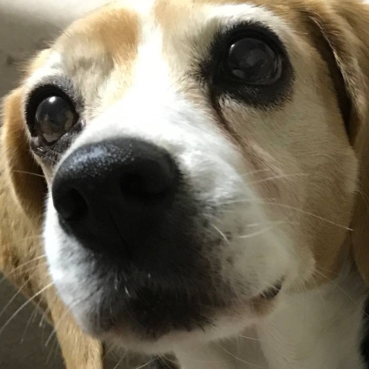 A3c9eb87 a7c7 4d4d 8003 b4607d2fefa2 1523512804161