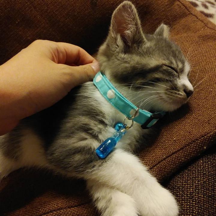 A3ca2a6e 6428 4ecb a302 562c35543064 1624485871519