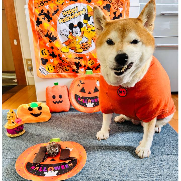 A3ca638b e4cc 413a a860 c449e8476d64 1729393661411