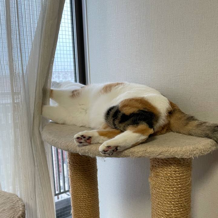 A3ca690f 46ba 47ea 9641 7fcd6e2f5997 1609112201594