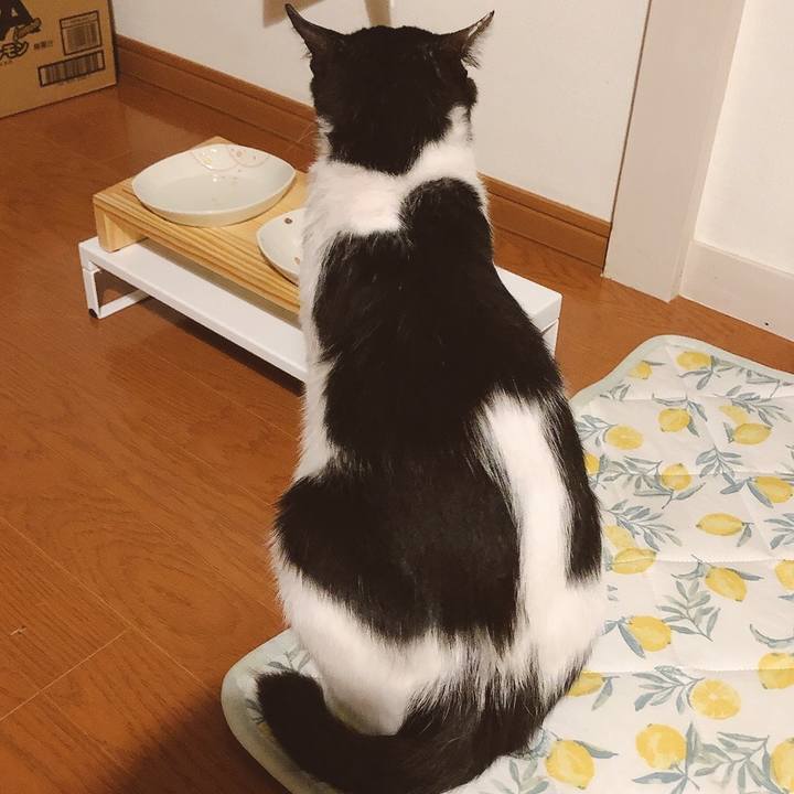 A3ca8dbf 0e75 4bb6 8b9c 08c945ff4091 1629437927702