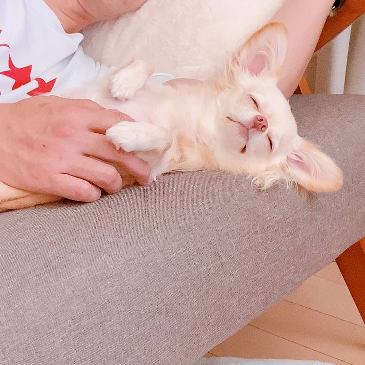 A3caa061 05b6 4333 aed9 515f2920f0a9 1628458609153