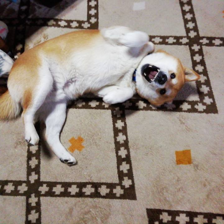 A3cac4f4 b642 4123 bfd1 f674ad2a60a2 1583147810484