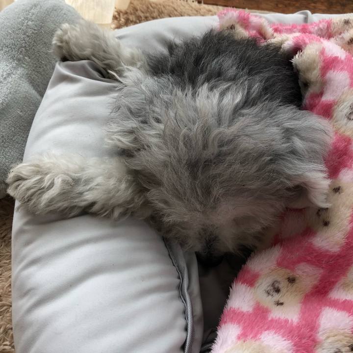 A3cacb19 f5be 42ec be07 06378692835e 1665287505103