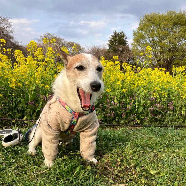 A3cb05ce 9756 4407 bc47 957c1a75a6a5 1743549600505