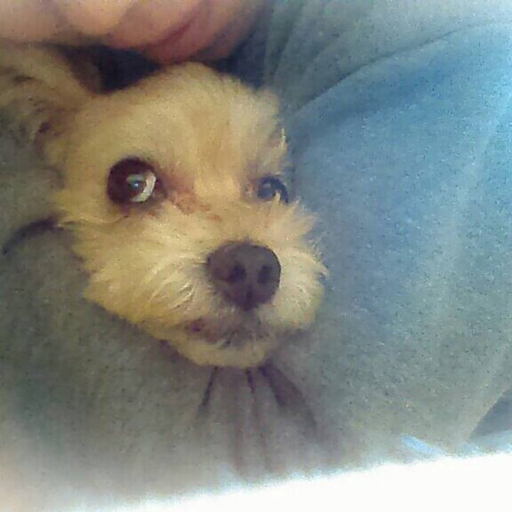 A3cb0a4a 86f7 4901 a164 ef97234ca439 1559975583883