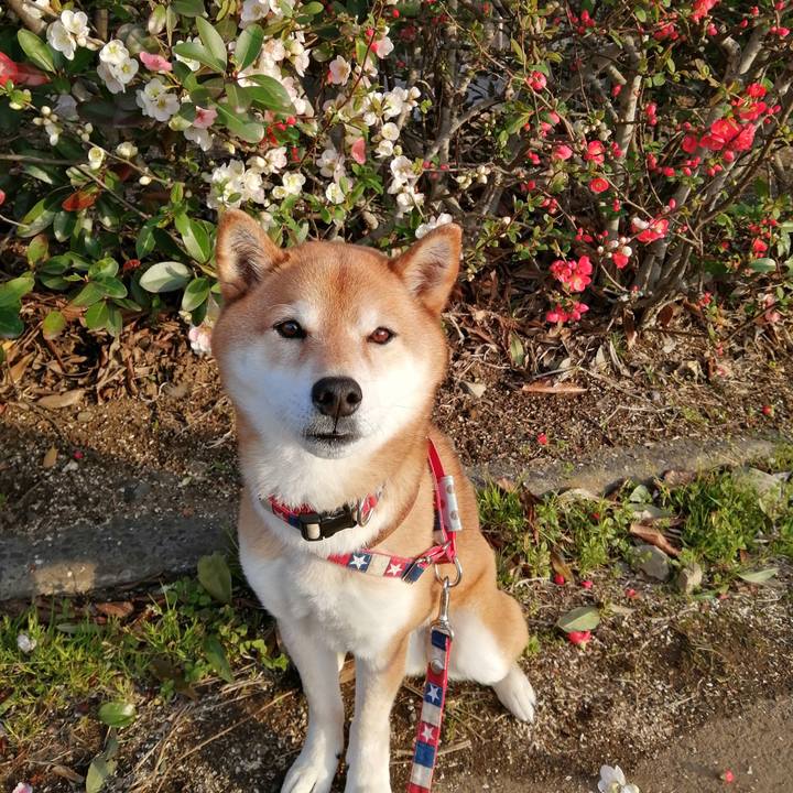 A3cb3d38 5c53 464e 9b0c b13eecbf9d94 1679305403434