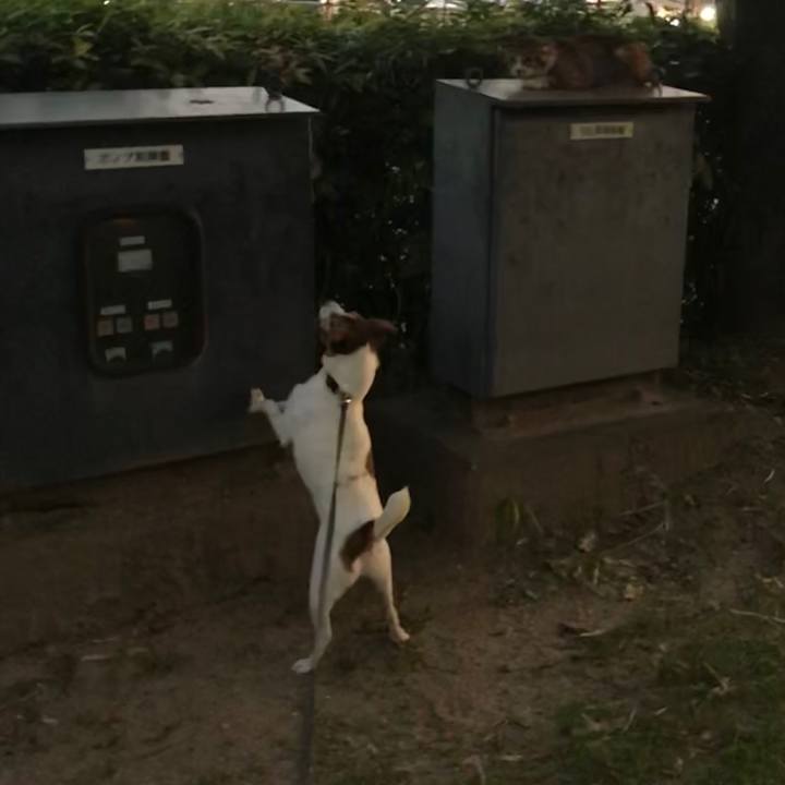 A3cb3fb6 644e 4517 af74 e06e838ea99a 1532184356597