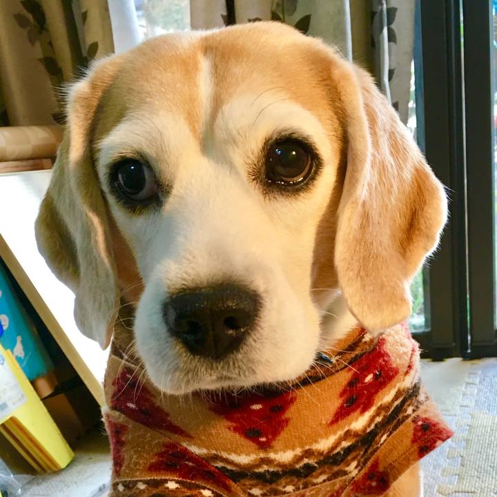 A3cb508f 4880 487c 940c 9cca67f3feb9 1764939479296