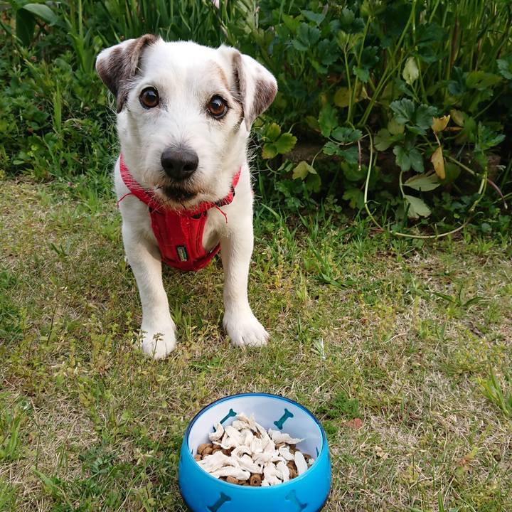 A3cb743d 8baf 4d80 9f30 bc72d3022cdb 1586939606550