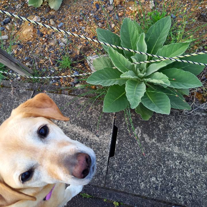 A3cb83f9 799b 4a23 84df 8825a4cb94c5 1650790581694