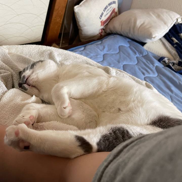 A3cbc44b 1dd6 4d0b bc80 337211837dd0 1658469371045