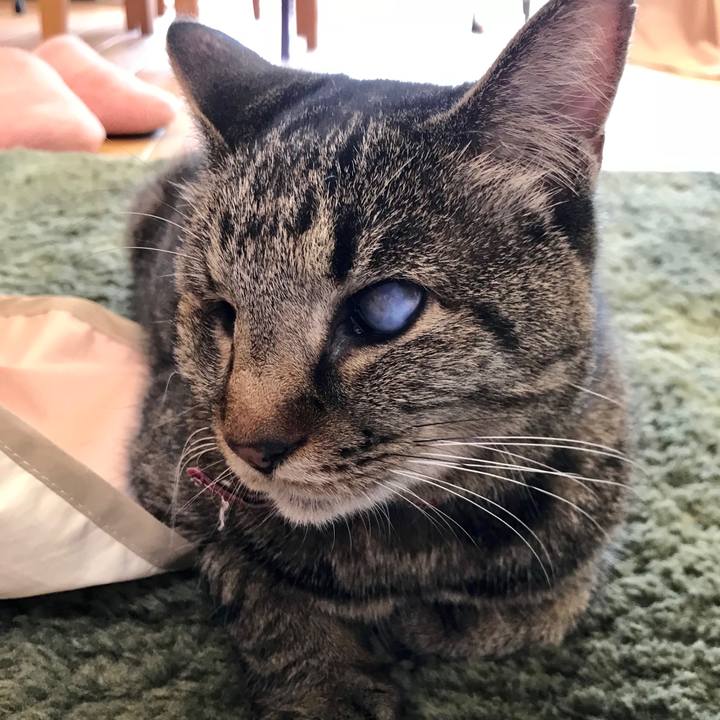 A3cc3428 9d06 4bb2 8b57 bf67924bbfb1 1526706829383