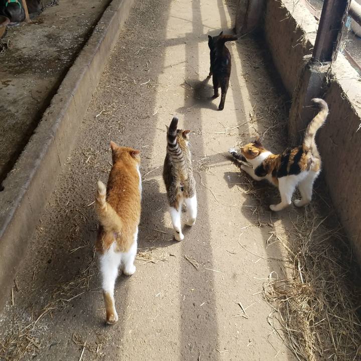 A3cc802d 9914 426b b3e1 322509a8a079 1524450446525