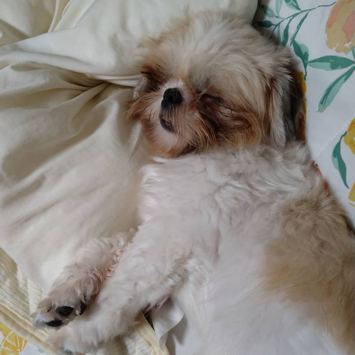 A3cc93fe 1682 44db 9e23 7ec6b40f800c 1600225643025