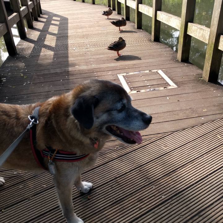 A3ccaa65 5ba5 4388 a514 cbc8dd0bd6a5 1734825455506