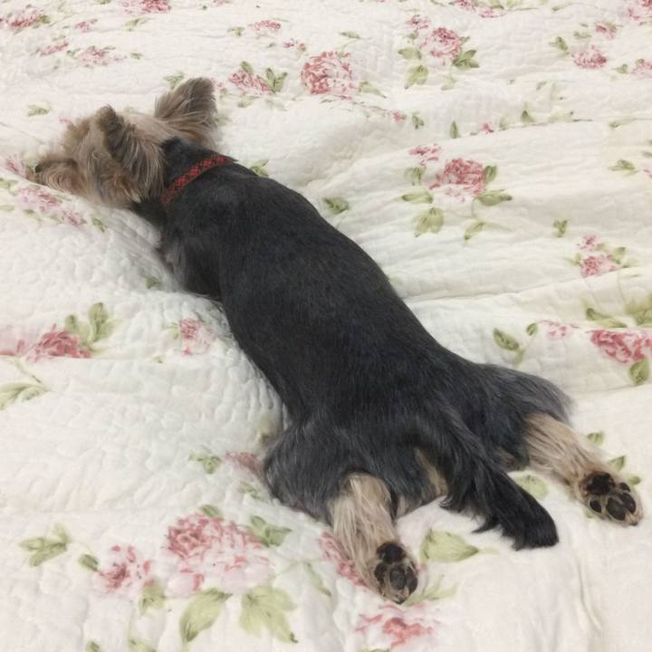 A3ccc713 738f 4ead b3a2 fc8957b7126d 1558179665845