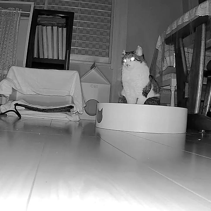 A3cd2855 66c2 4846 8b32 4268c424e92e 1764033238916