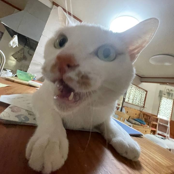 A3cd483a bdb0 4069 a6b5 d10935a5e74d 1658357238130